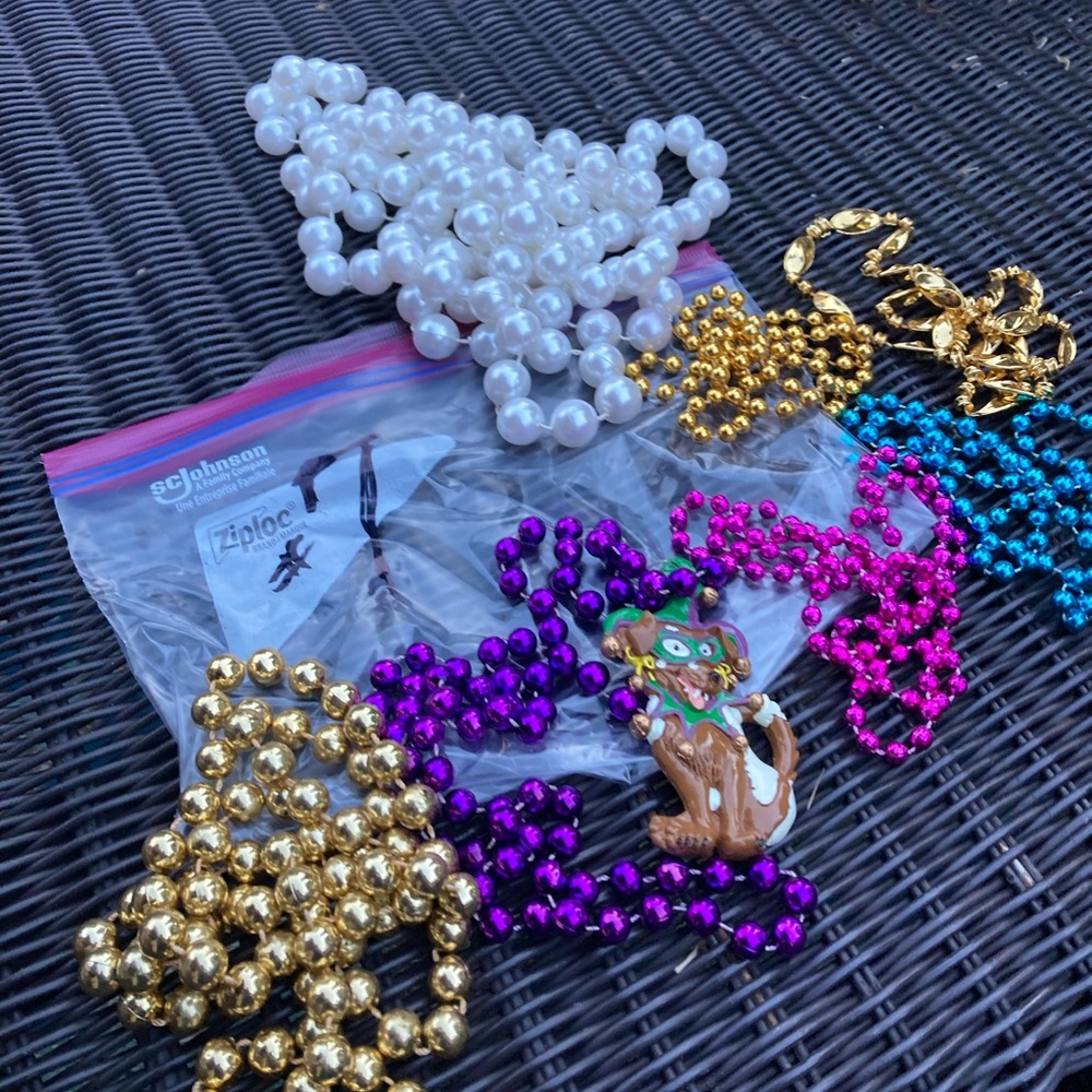 Masked jester dog Mardi Gras beads and pendant